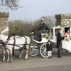 KilvahanHorseDrawnCarriages3 image